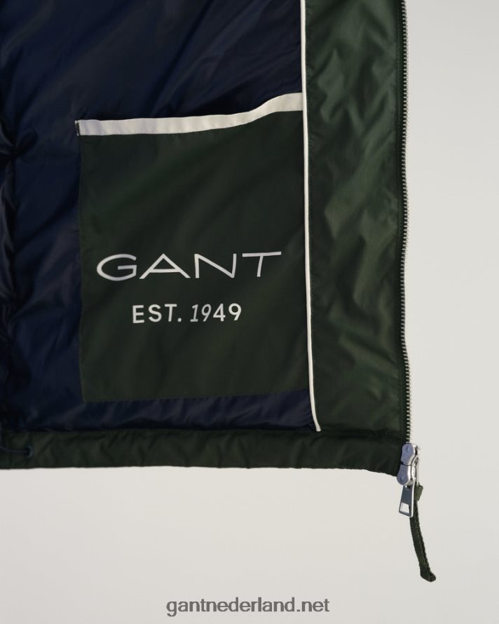 GANT Heren storm groen actief wolkendek R48460391