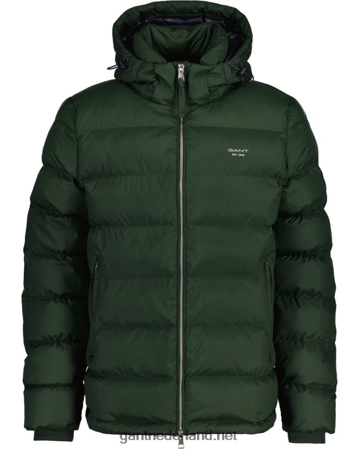 GANT Heren storm groen actief wolkendek R48460391