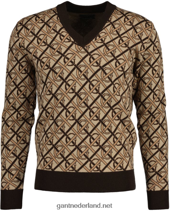 GANT Heren rijk bruin monogram merino trui met v-hals R48460363