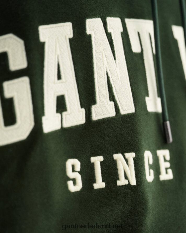GANT Heren storm groen velours hoodie R48460229